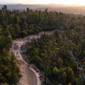 Image of Sea Otter Australia